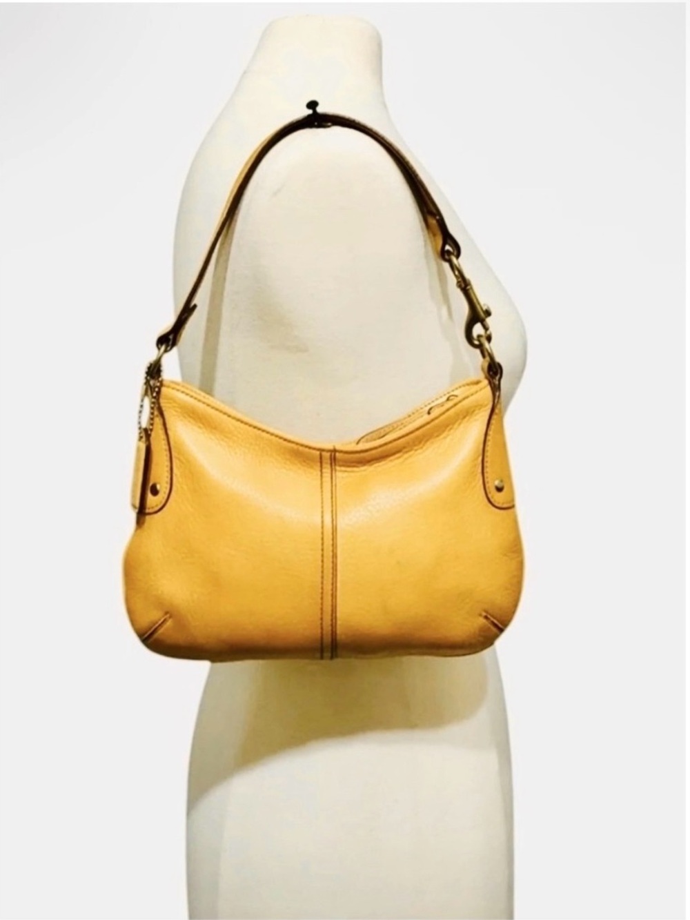 Coach Rare Millbrook Demi 9604 Leather Mini Baguette